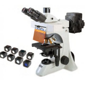 купить Микроскоп Motic BA450 цена
