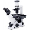 цена Микроскоп Olympus CKX31 лабораторный купить